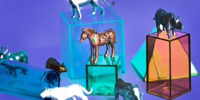 Animal Traner Simulator Was Announced Today