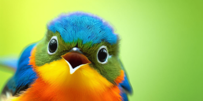 Google Sets the Stage for an AI Showdown with Microsoft, Tests its Image Generation Tool, SGE